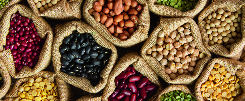 Legumes bean seed in sack, top view