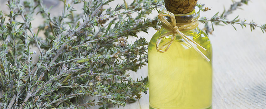 glass bottle of thyme essential oil and bunch of dry thyme on wo