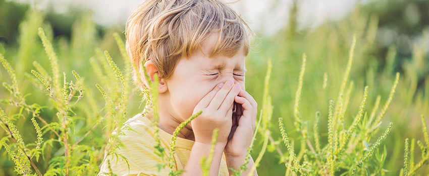 Boy sneezes because of an allergy to ragweed