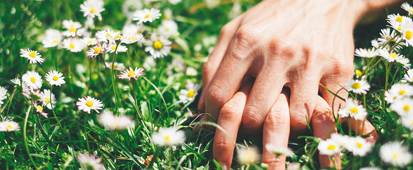 Love and passion hands on spring flowers