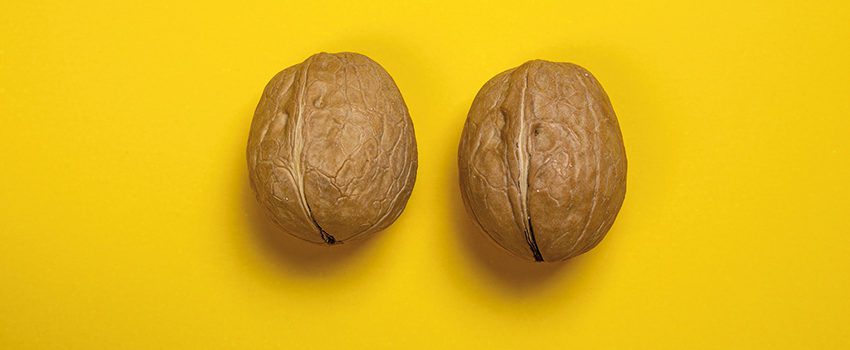 two nuts, testicular cancer prevention concept