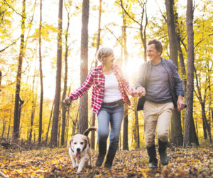 Banner-NOVEMBRE-Actus