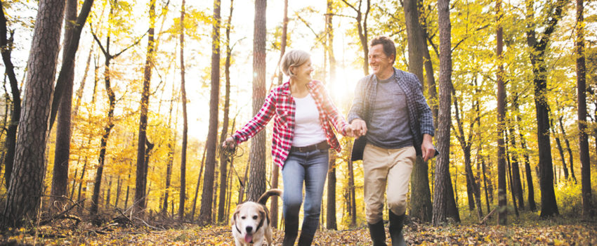 Banner-NOVEMBRE-Actus